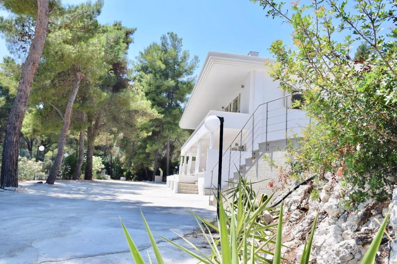 Petra Maris Bed & Breakfast 3*